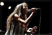 71658 The Excitements 2014-12-19 (Zz) (p)